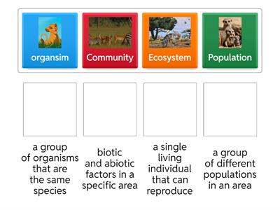 Ecological Levels of Organization Vocabulary