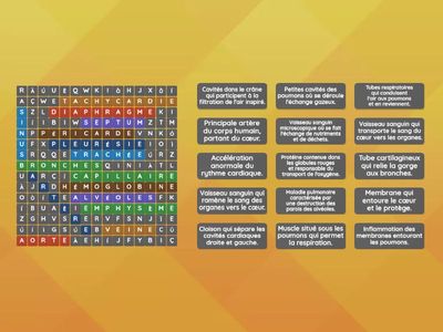 Appareil cardio-respiratoire