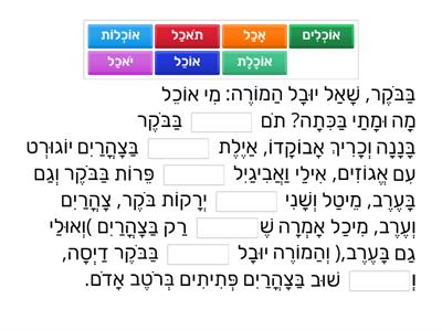 הַמִקְרָאָה שֶׁלִי ג1 - מִשְׁפַּחַת מִלִים עמ' 13