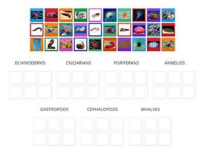 NATURAL SCIENCE INVERTEBRATES 2 