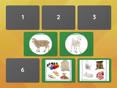 төрт түлік мал