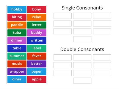 2B Single and Double Consonants