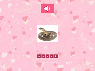 -smart start 4, Unit 1-4