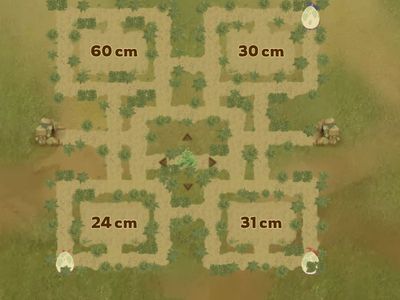 Perímetros - Equimoción