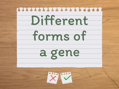 Heredity - Flash Cards [SciBio]