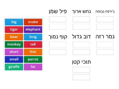 Animals and adjectives- Click 3 unit 3