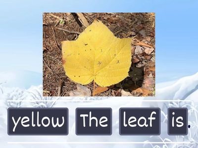 Create a phrase or sentence; /l/ practice