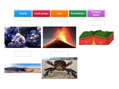 Technical vocabulary