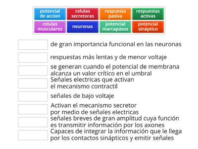 propiedades electricas de la célula exitable