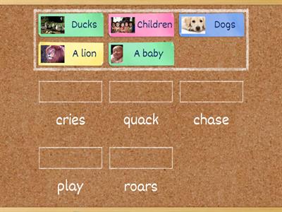 Subject Verb Agreement