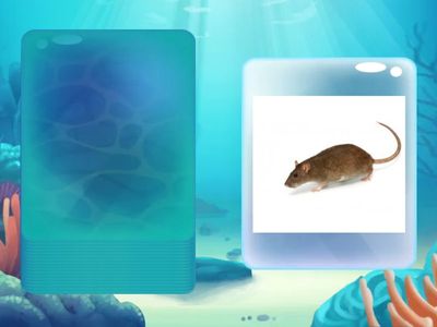 Go Getter 1 Unit 7 Bingo