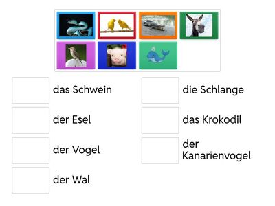 Die Tiere Γ γυμνασίου