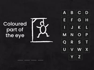 Functions of the eye