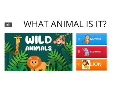 ANIMALS IN THE JUNGLE