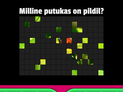 Aianduslik pildimäng