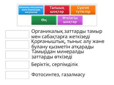 Үштік анальді қатты