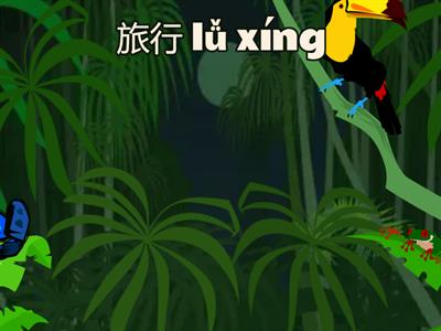 Year 8 Chinese - Travel Vocab