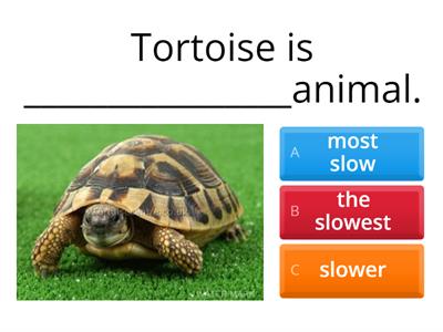 Comparative/Superlative