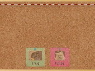 ✨Future Simple✨ True or False?