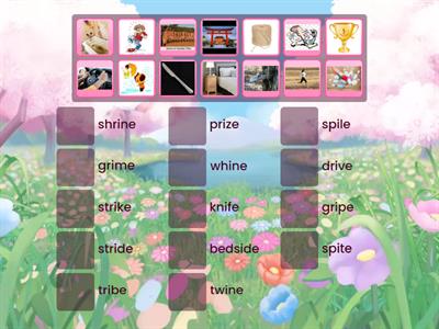 Long /i/ Silent e Picture Match 