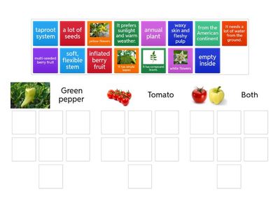 Green pepper and Tomato