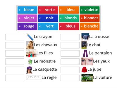 Les adjectifs de couleurs (masculin et féminin) 2