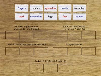 PLURAL NOUNS