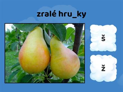 Párové hlásky Ž x Š