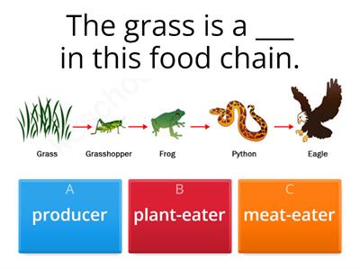 Interactions within the Environment