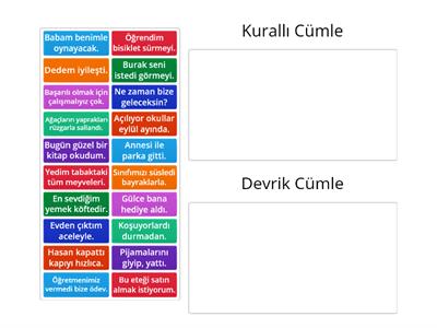 2.Sınıf Anlamlı-Kurallı Cümleler Online Etkinlik-5