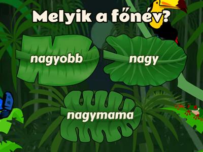 Melyik főnév?  3.osztály