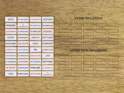  VERBI RIFLESSIVI E NON RIFLESSIVI
