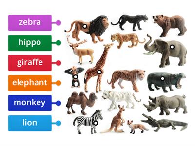 Animals unit 4