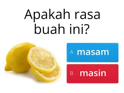 Sains Awal Prasekolah (Fungsi Deria) 