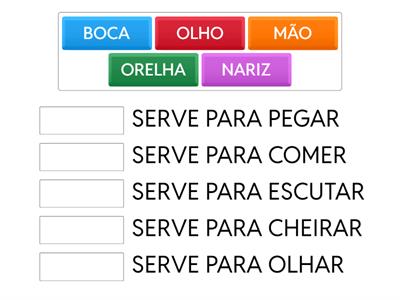 FUNÇÕES DAS PARTES DO CORPO