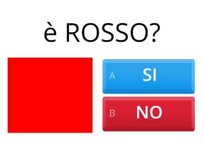 SI E NO COLORI