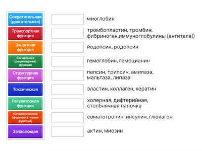 Функции белков