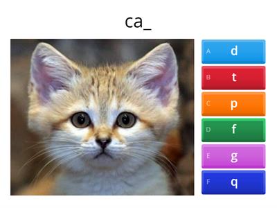 Phonics Blending CSK