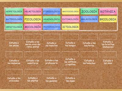 Ramas de la Biología 