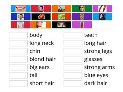 NEA 2 Unit 3 - Body and face