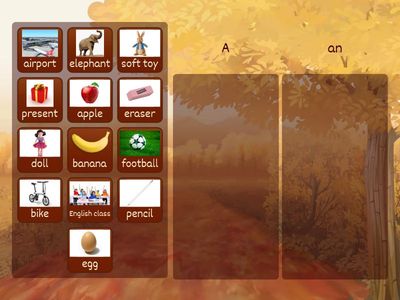  Indefinite Articles: a / an 