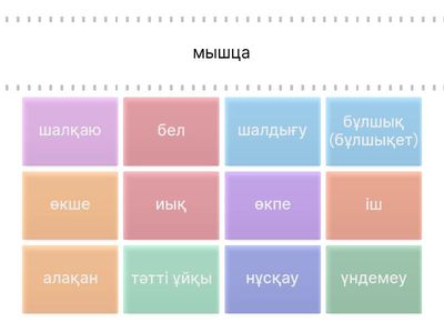 Нәтиже сабақ. Мен не үйрендім?