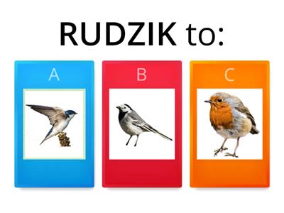 Wiosenne ptaki - QUIZ