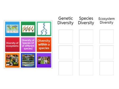 Types of Biodiversity Sort