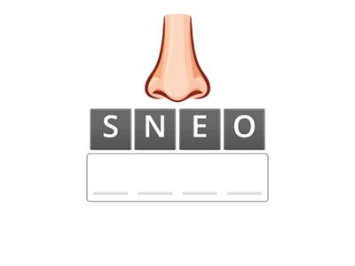 MY FACE -Find the word!