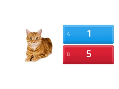 Counting Pictures Quiz