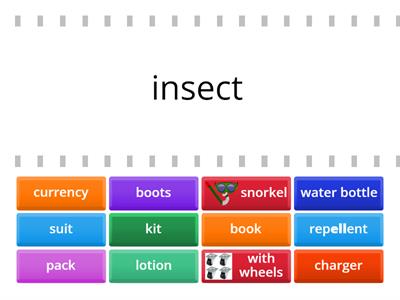 B1 2A What do you take on holiday?