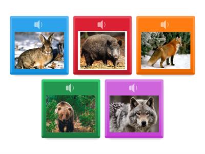 Дидактична гра " Дикі тварини"