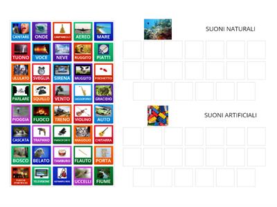 ORGANIZZA I SUONI NATURALI E ARTIFICIALI