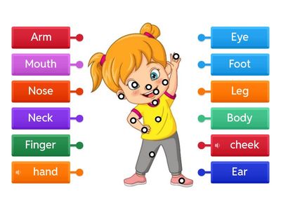 Копія Частини тіла 2 клас